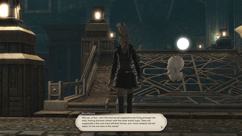 ffxiv npc appearance data